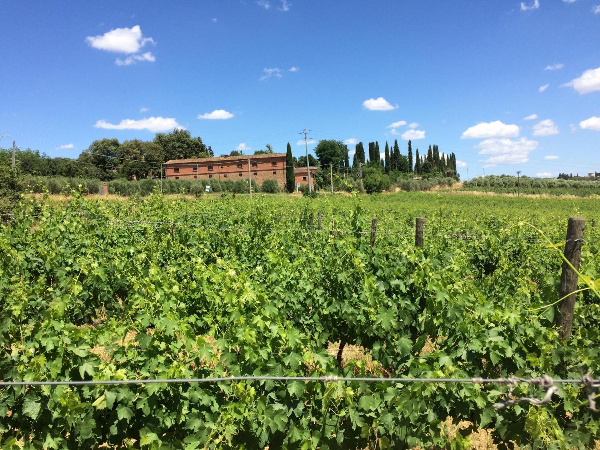 Agriturismo Fattoria Santa Vittoria Pozzo  Eksteriør billede